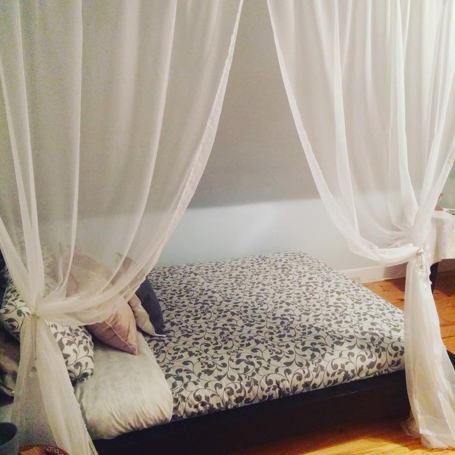 The Cosy Cottage Inn Saint John Buitenkant foto